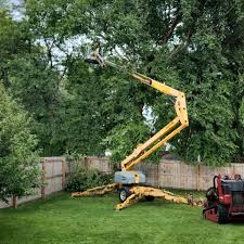 Best Fruit Tree Pruning  in Westbrook, ME
