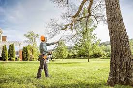 Best Tree Removal  in Westbrook, ME