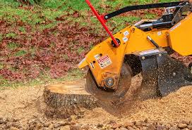 Best Tree and Shrub Care  in Westbrook, ME